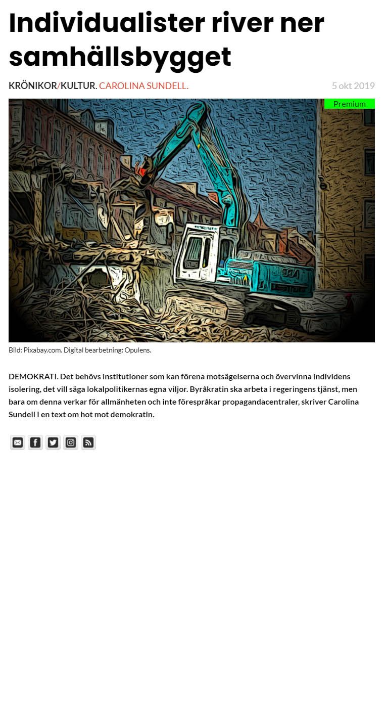 Politisk reflektion, samhällsstyrning