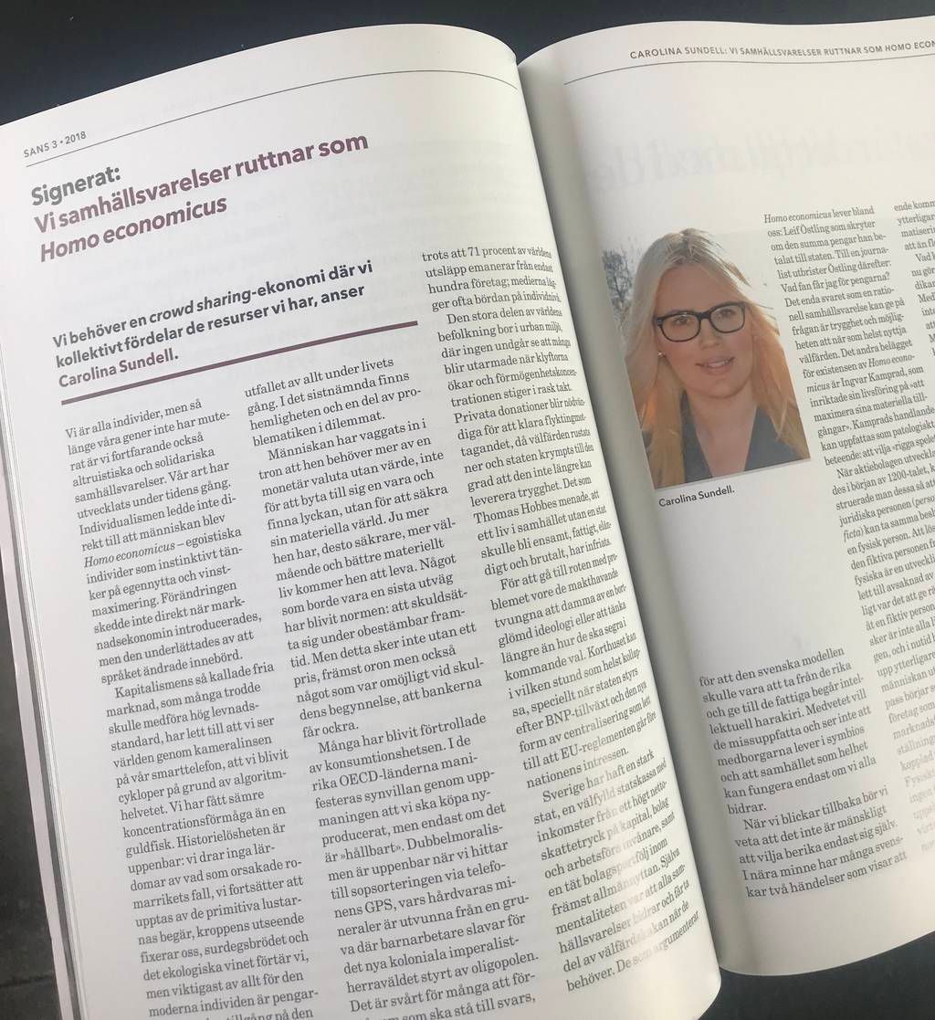 Samhällsanalys, "Homo Economicus"